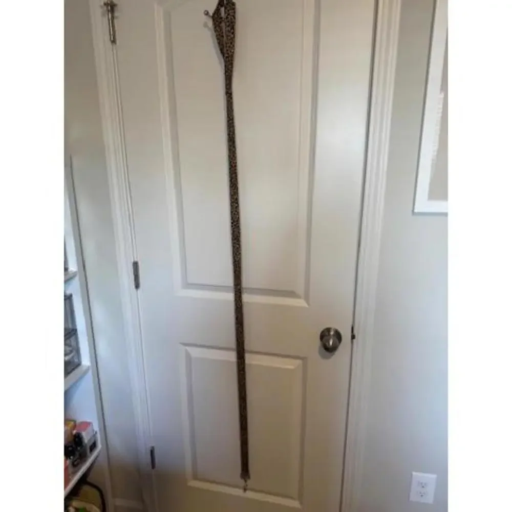 Leopard Pet Leash and Matching Collar